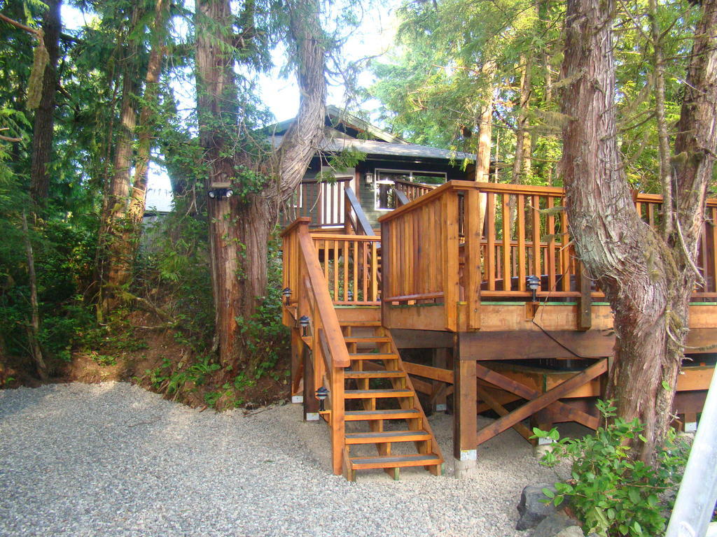 Tofino Forest View Cabin By Cox Bay Villa Værelse billede